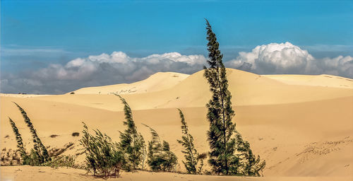 Scenic view of desert against sky