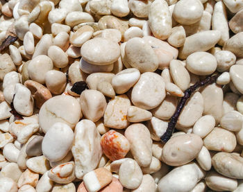 Full frame shot of coffee beans