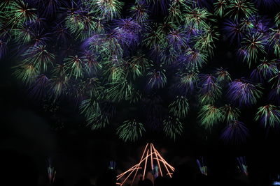 Low angle view of firework display at night