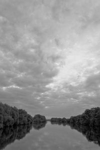 Scenic view of trees against sky