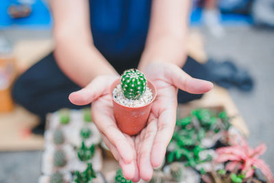 Close-up of hand holding succulent plant