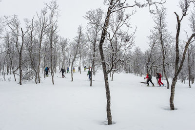 Large group of skiers in the forest
