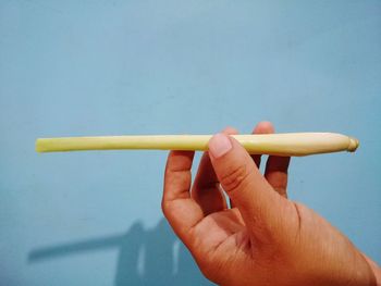 Cropped hand of person holding celery against wall