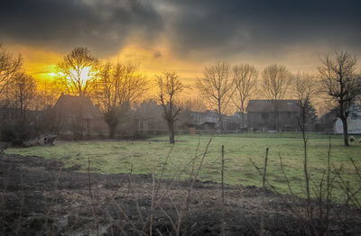 Bare trees on field against sky during sunset