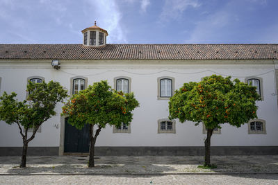 Low angle view of building with orange trees against sky in old town faro
