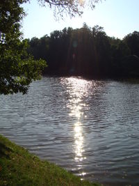 Scenic view of lake in forest against sky