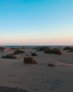 Scenic view of sea against clear sky during sunset