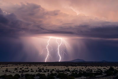 Lightning bolts from a monsoon thunderstorm near flagstaff, arizona