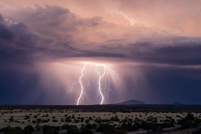 Lightning bolts from a monsoon thunderstorm near flagstaff, arizona