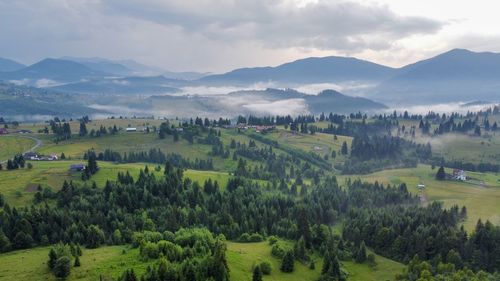 Scenic view of trees on field against sky in tihuta pass,transylvania