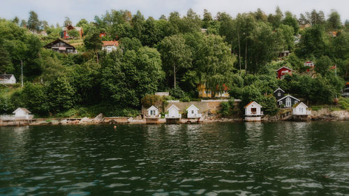 Calm sea with trees in background