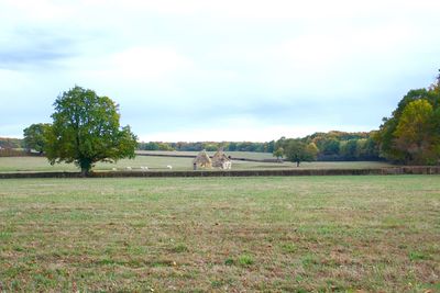 Trees on field against sky