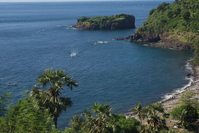 High angle view of sea and trees