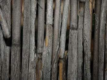 Detail shot of wooden fence