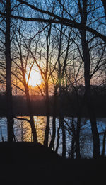 Silhouette trees by lake against sky during sunset