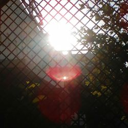 Sun shining through chainlink fence