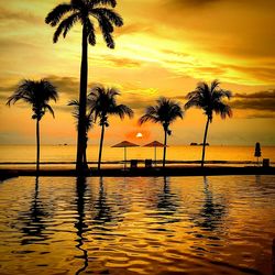 Silhouette of palm trees at sunset