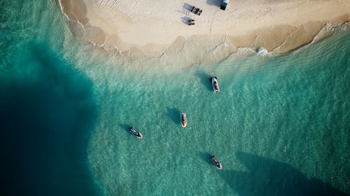 High angle view of people in sea