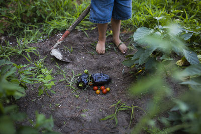 Low section of boy with hoe standing at vegetable garden