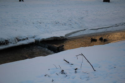 Scenic view of snow covered landscape