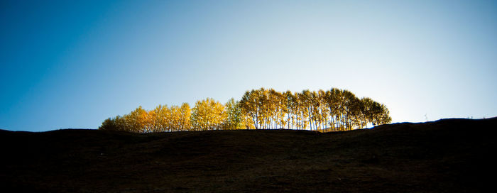 Trees on landscape against clear blue sky