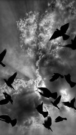 Low angle view of birds flying in sky