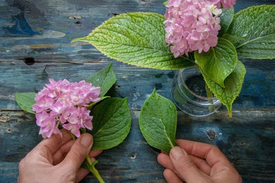 Cropped image of hands holding pink flowers and leaf