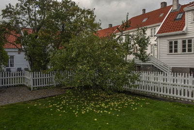 Trees and house in lawn against sky