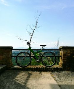 Cars parked in front of trees