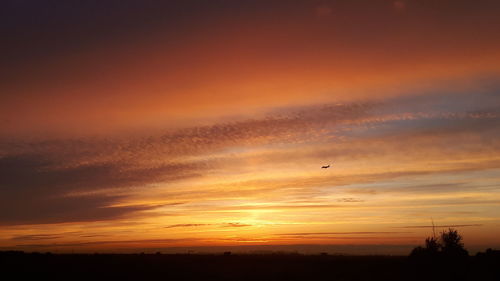 Silhouette birds flying in sky during sunset