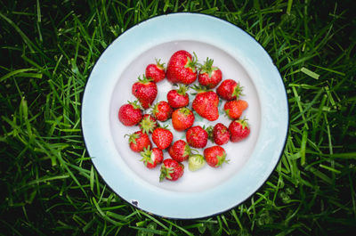 High angle view of strawberries in bowl on field