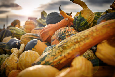 Close-up of pumpkins for sale at market stall