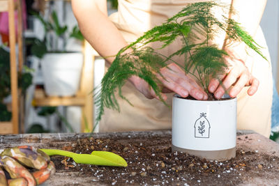 Midsection of woman holding plant