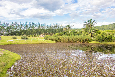 Scenic view of landscape against sky
