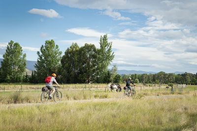 Man riding bicycle on field against sky