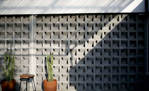 Potted plants on window of building