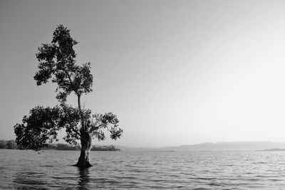 Scenic view of calm sea against clear sky