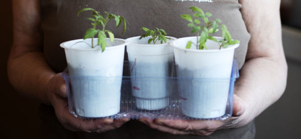 Midsection of man holding potted plant