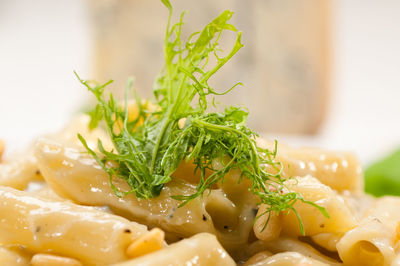 Close-up of food