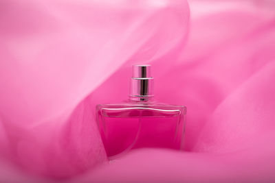 Close-up of pink flower in container
