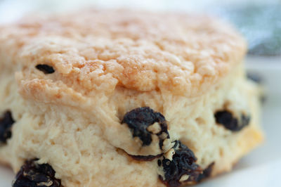 Close-up of cookies