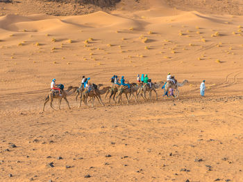 Group of people riding motorcycle on desert