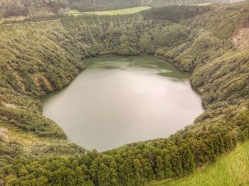 High angle view of river amidst trees