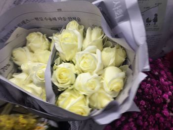 High angle view of flowers in container