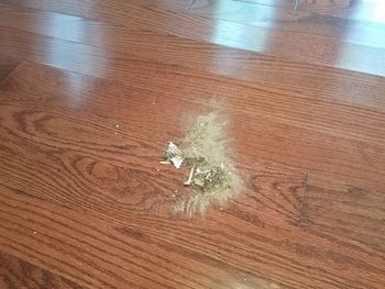 High angle view of leaf on hardwood floor