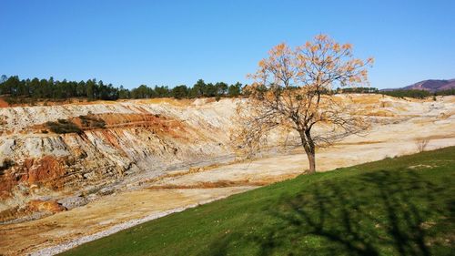 Scenic view of landscape against clear blue sky