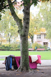 Lounge chairs against trees