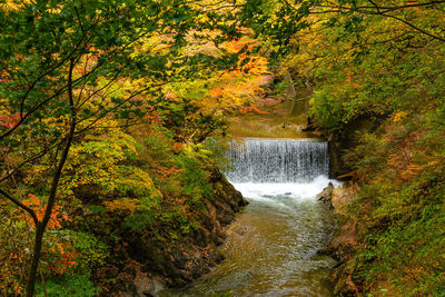Scenic view of waterfall in japan forest during autumn
