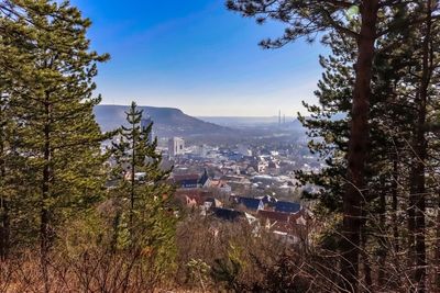 High angle view of trees and buildings against sky