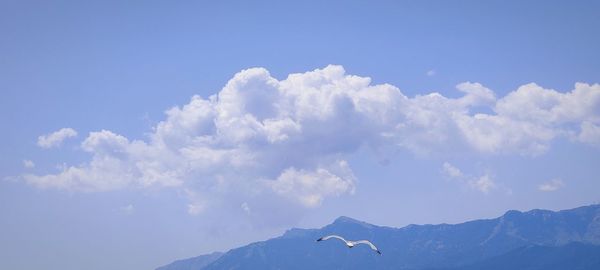 Low angle view of snowcapped mountain against sky